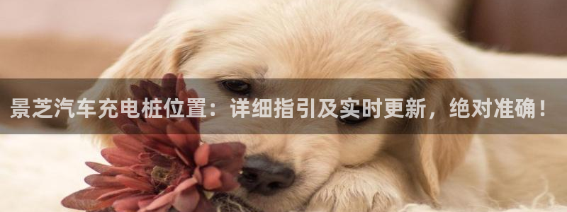 威廉希尔标准框架：景芝汽车充电桩位置：详细指引及实时更新，绝对准确！