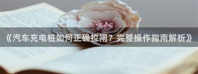 威廉指数公式：《汽车充电桩如何正确拉闸？完整操作指南解析》