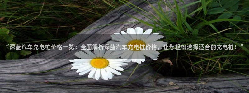 威廉与澳门盘的技巧：“深蓝汽车充电桩价格一览：全面解析深蓝汽车充电桩价格，让您轻松选择适合的充电桩！”