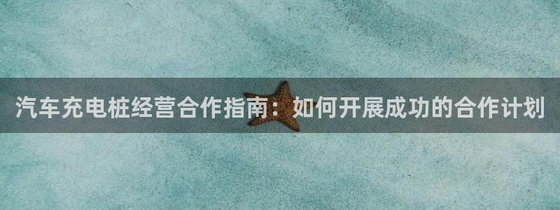 威廉希尔1.91有什么说法：汽车充电桩经营合作指南：如何开展成功的合作计划