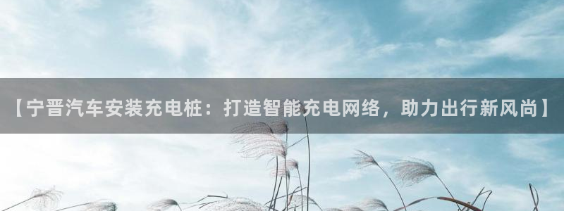 威廉希尔开盘1.50：【宁晋汽车安装充电桩：打造智能充电网络，助力出行新风尚】