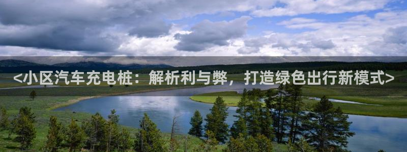 威廉希尔在中国怎么买东西：<小区汽车充电桩：解析利与弊，打造绿色出行新模式>