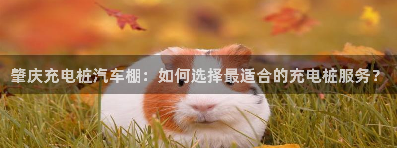 威廉希尔对比立博：肇庆充电桩汽车棚：如何选择最适合的充电桩服务？