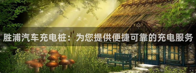 威廉国际app是什么：胜浦汽车充电桩：为您提供便捷可靠的充电服务