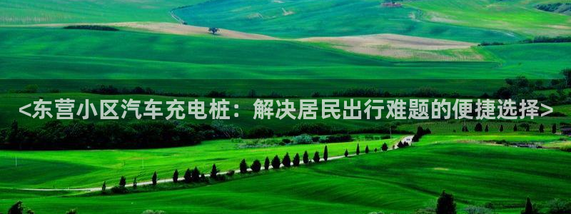 威廉集团：<东营小区汽车充电桩：解决居民出行难题的便捷选择>