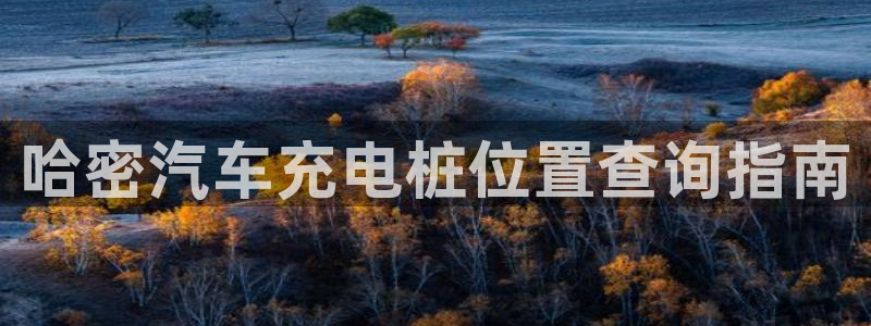 意甲的威廉希尔研究：哈密汽车充电桩位置查询指南