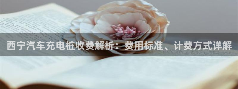 威廉希尔不开盘的比赛是哪一场：西宁汽车充电桩收费解析：费用标准、计费方式详解