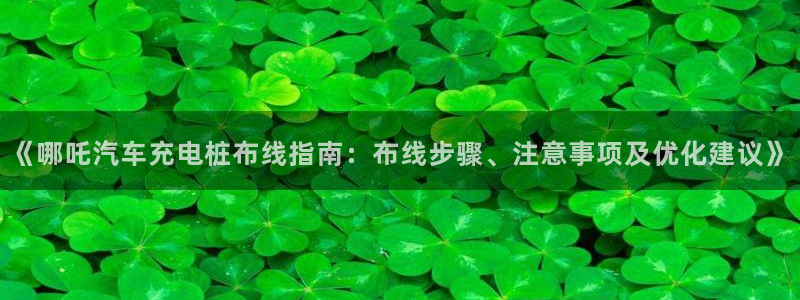 威廉希尔和interwetten：《哪吒汽车充电桩布线指南：布线步骤、注意事项及优化建议》