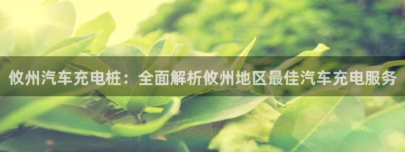威廉希尔中文官网地址：攸州汽车充电桩：全面解析攸州地区最佳汽车充电服务