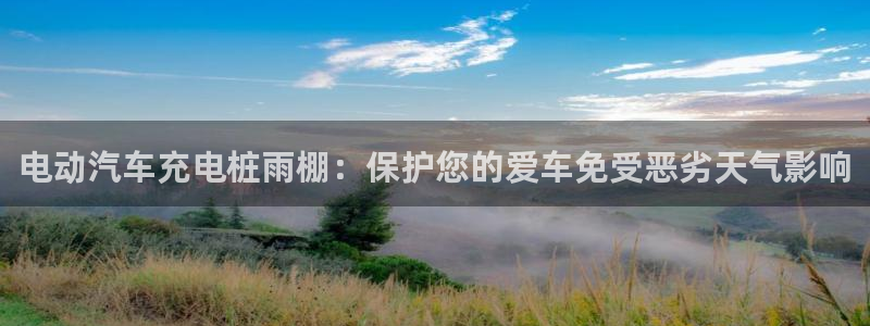 威廉希尔体育公司官网：电动汽车充电桩雨棚：保护您的爱车免受恶劣天气影响