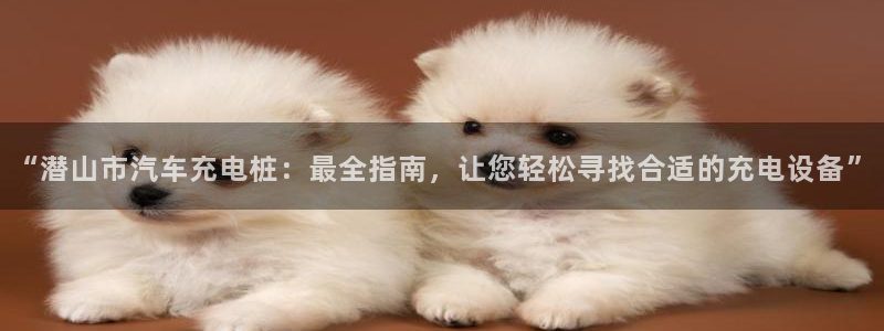 威廉指标是哪个：“潜山市汽车充电桩：最全指南，让您轻松寻找合适的充电设备”