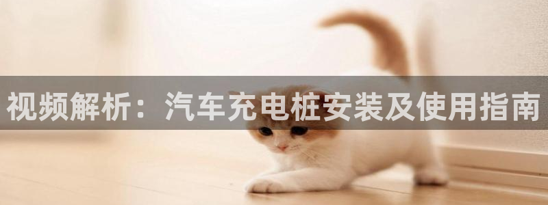 威廉希尔不开盘的比赛是哪一场：视频解析：汽车充电桩安装及使用指南