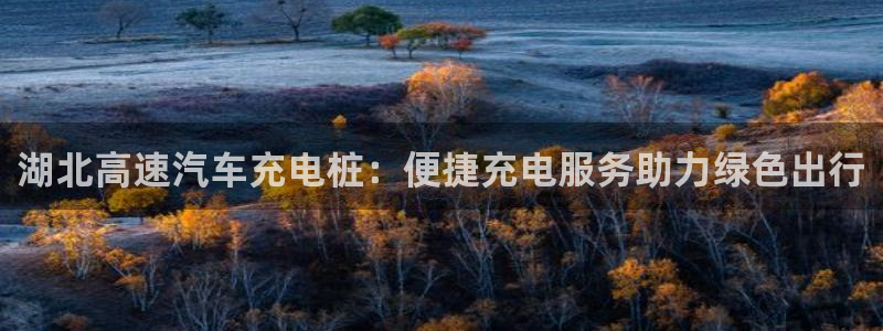 威廉足球运动员：湖北高速汽车充电桩：便捷充电服务助力绿色出行