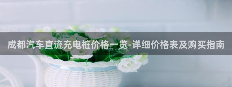 威廉希尔香港俱乐部：成都汽车直流充电桩价格一览-详细价格表及购买指南