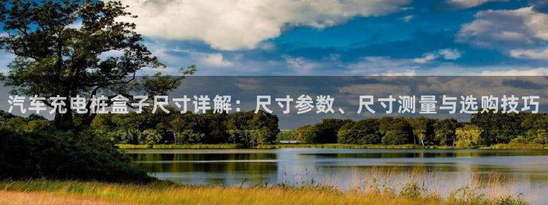 威廉希尔欧洲官网：汽车充电桩盒子尺寸详解：尺寸参数、尺寸测量与选购技巧