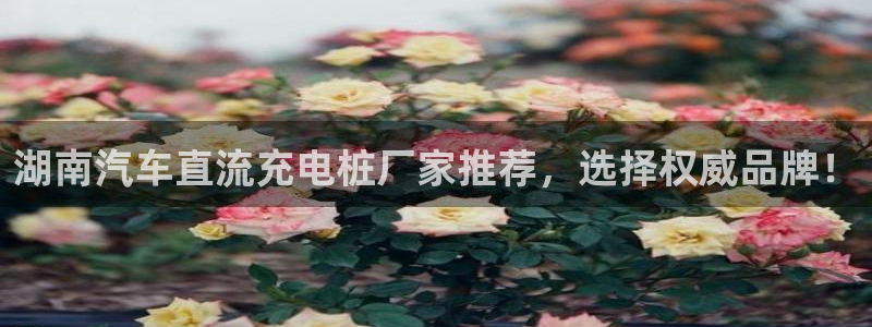威廉希尔大小球0.91与0.8：湖南汽车直流充电桩厂家推荐，选择权威品牌！