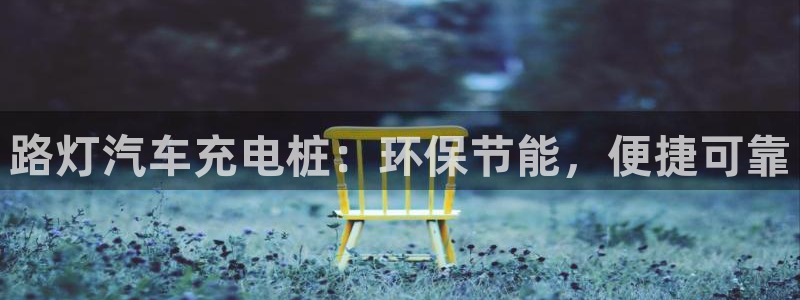 威廉希尔可以在国内用吗：路灯汽车充电桩：环保节能，便捷可靠