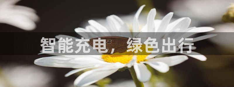 威廉指标的参数是多少：智能充电，绿色出行