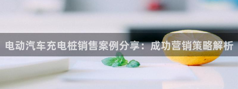 威廉斯国际娱乐网：电动汽车充电桩销售案例分享：成功营销策略解析