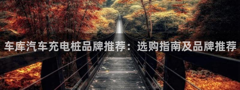 威廉希尔日职1.95是什么意思：车库汽车充电桩品牌推荐：选购指南及品牌推荐