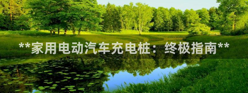 威廉希尔144指的是初盘?：**家用电动汽车充电桩：终极指南**