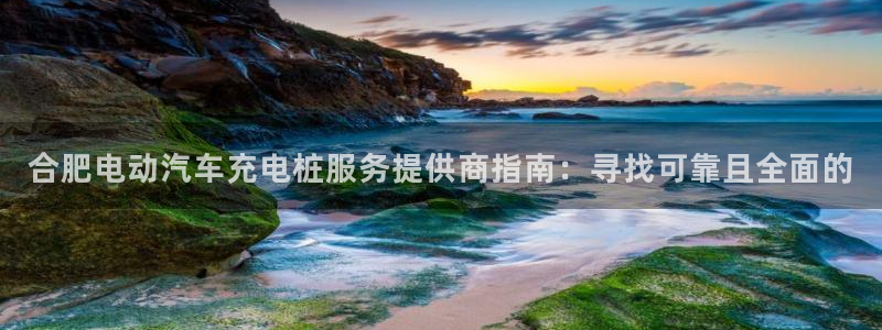 威廉体育官方app下载安卓手机：合肥电动汽车充电桩服务提供商指南：寻找可靠且全面的
