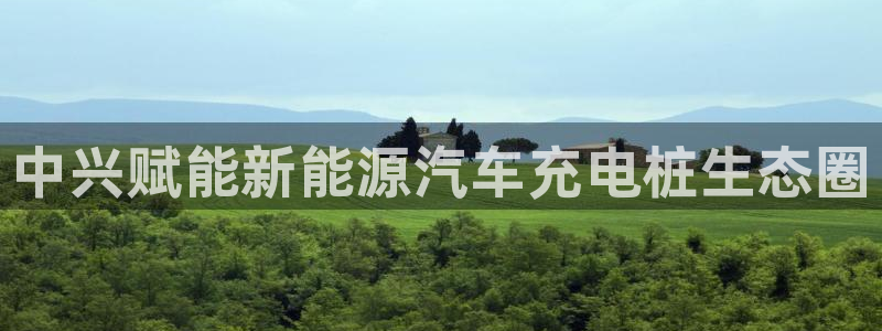 威廉希尔是黑台还是白台