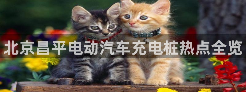 威廉tt：北京昌平电动汽车充电桩热点全览