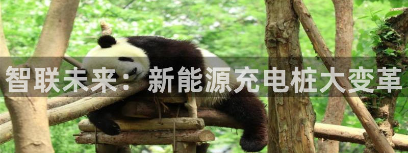 威廉希尔是什么意思：智联未来：新能源充电桩大变革