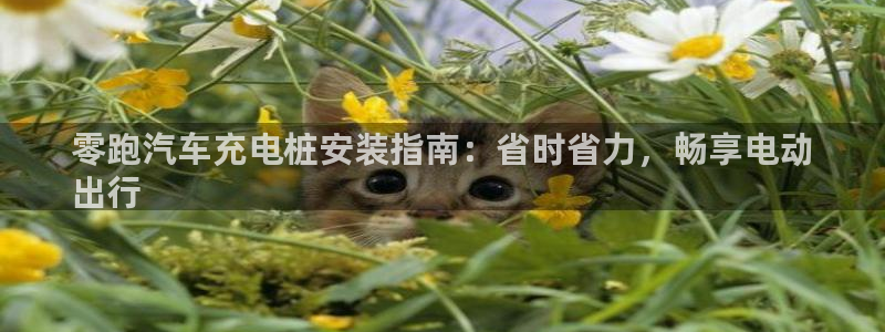 威廉希尔官网手机客户端：零跑汽车充电桩安装指南：省时省力，畅享电动
出行
