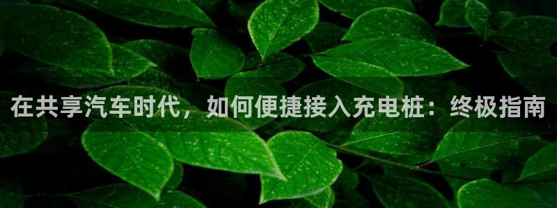 willhill威廉希尔体育：在共享汽车时代，如何便捷接入充电桩：终极指南
