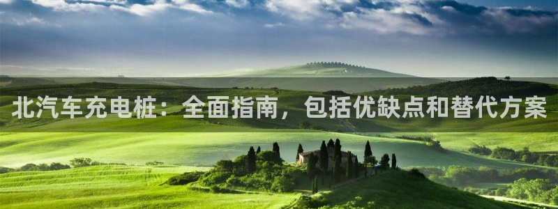 国内可以在威廉希尔买球吗：北汽车充电桩：全面指南，包括优缺点和替代方案