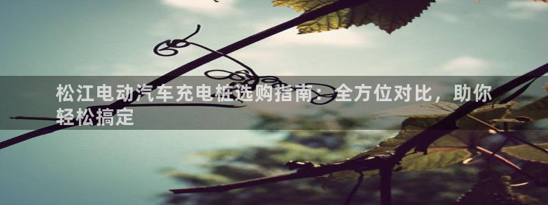 威廉健身管理咨询有限公司：松江电动汽车充电桩选购指南：全方位对比，助你
轻松搞定