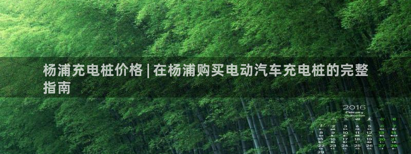 威廉希尔 1.44：杨浦充电桩价格 | 在杨浦购买电动汽车充电桩的完整
指南