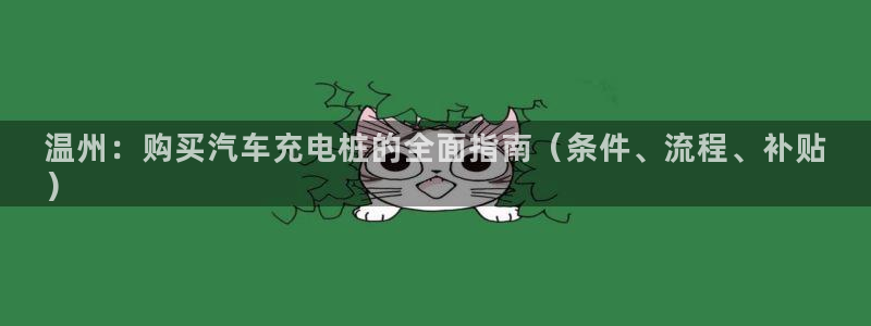 威廉希尔指数分析：温州：购买汽车充电桩的全面指南（条件、流程、补贴
）