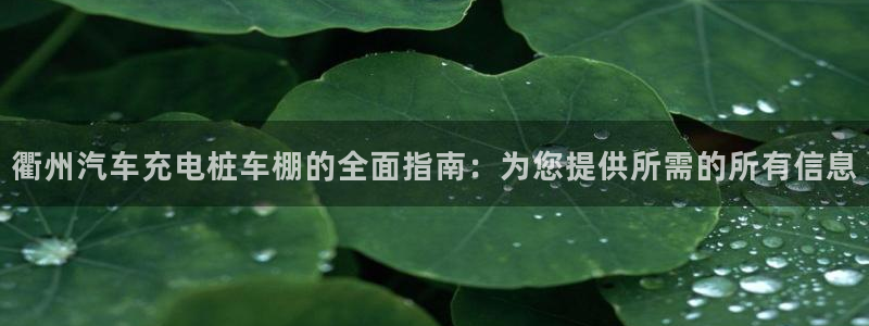 欧冠威廉希尔初赔：衢州汽车充电桩车棚的全面指南：为您提供所需的所有信息