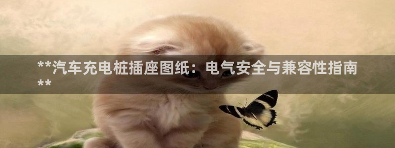 威廉希尔和立博三个指数完全一样：**汽车充电桩插座图纸：电气安全与兼容性指南
**