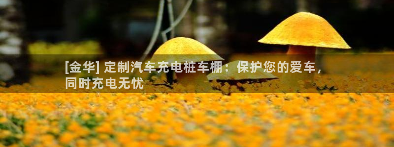 哪里买威廉希尔：[金华] 定制汽车充电桩车棚：保护您的爱车，
同时充电无忧