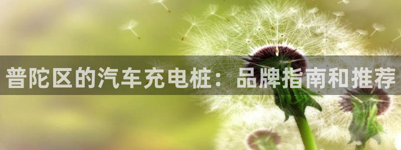 威廉希尔数据指数：普陀区的汽车充电桩：品牌指南和推荐