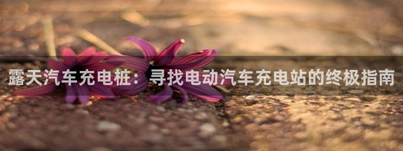 威廉希尔是什么意思：露天汽车充电桩：寻找电动汽车充电站的终极指南