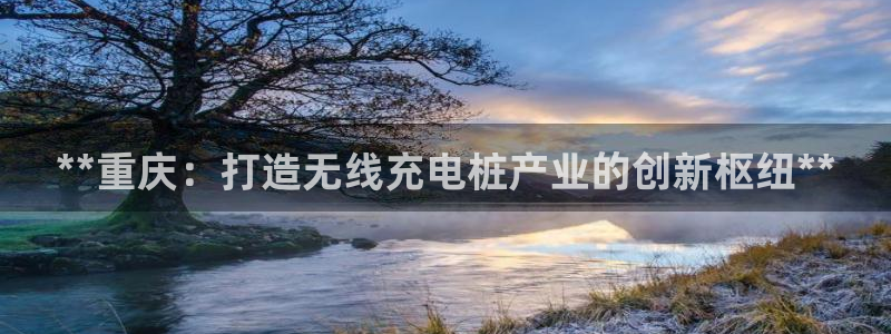 威廉希尔interwetten指数：**重庆：打造无线充电桩产业的创新枢纽**