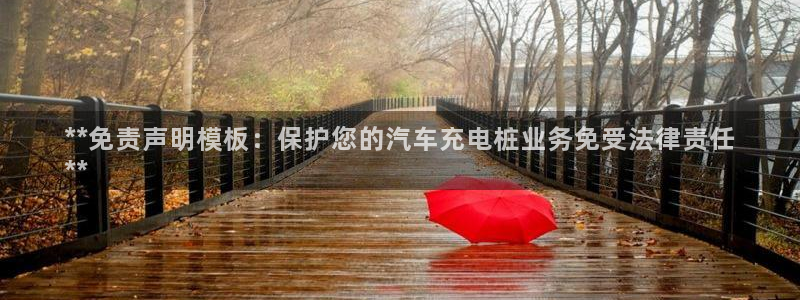 威廉国际不能提现：**免责声明模板：保护您的汽车充电桩业务免受法律责任
**