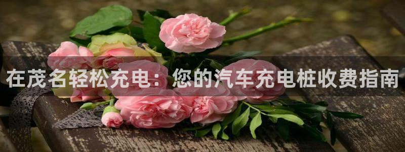 威廉希尔与立博开盘探讨：在茂名轻松充电：您的汽车充电桩收费指南