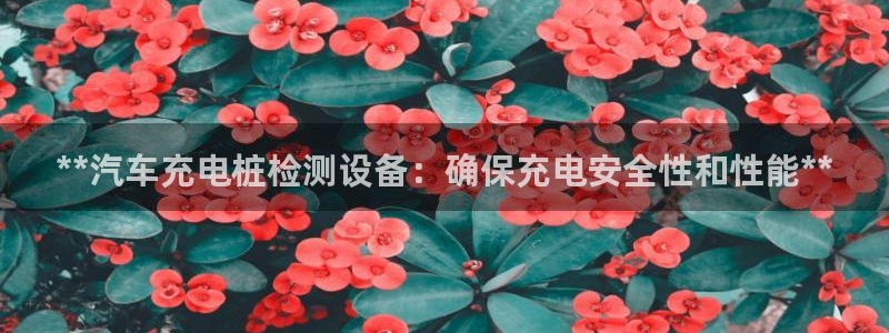 威廉希尔ios：**汽车充电桩检测设备：确保充电安全性和性能**