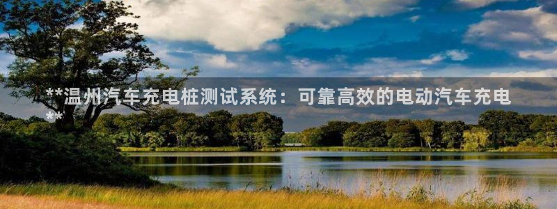 威廉国际马术中心价格：**温州汽车充电桩测试系统：可靠高效的电动汽车充电
**