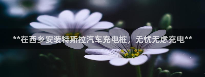 威廉希尔的分析方法 2.25：**在西乡安装特斯拉汽车充电桩，无忧无虑充电**