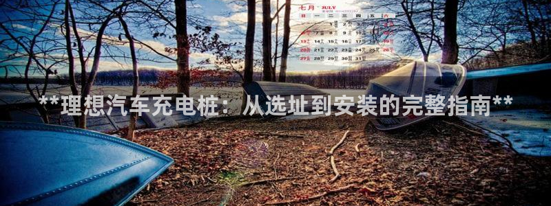 威廉希尔和inter：**理想汽车充电桩：从选址到安装的完整指南**