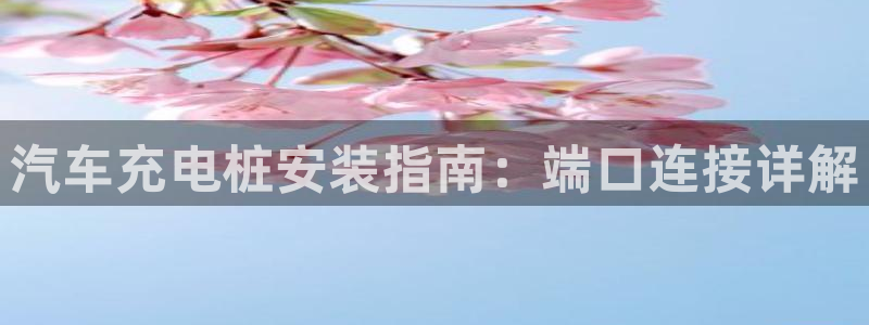 威廉与澳门盘到底看初盘还是怎么看：汽车充电桩安装指南：端口连接详解