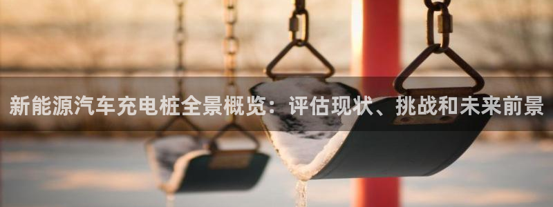 威廉希尔1.33什么意思：新能源汽车充电桩全景概览：评估现状、挑战和未来前景