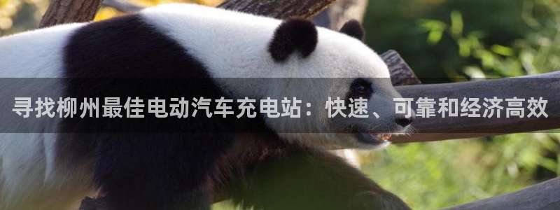 威廉希尔股票：寻找柳州最佳电动汽车充电站：快速、可靠和经济高效